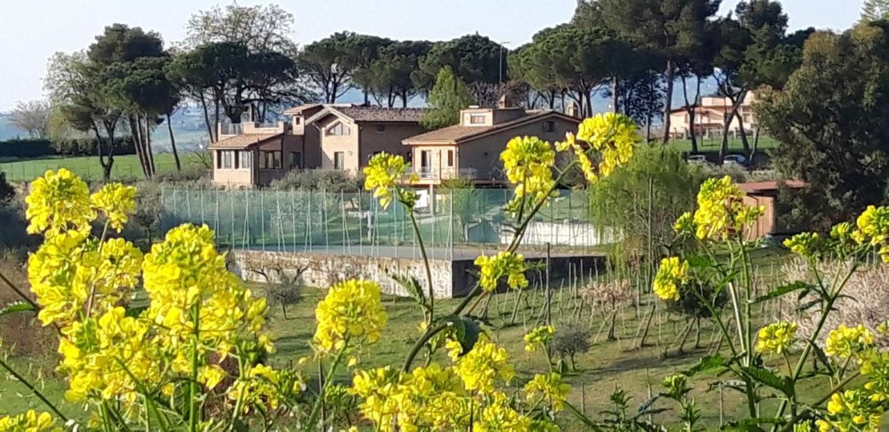 La Casa Nella Prateria Bed and Breakfast Misano Adriatico Εξωτερικό φωτογραφία