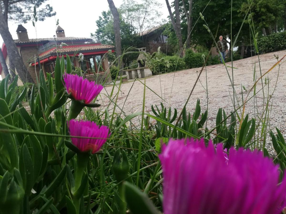 La Casa Nella Prateria Bed and Breakfast Misano Adriatico Εξωτερικό φωτογραφία